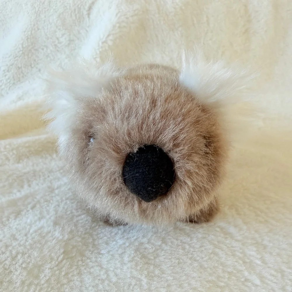 American Girl Kira Bailey Koala Plush Toy - Girl of the Year 2020/2021 - Retired - Picture 2 of 9